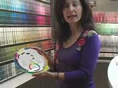 # 3, Denver and Littleton House Painters Tips - The Color Wheel?