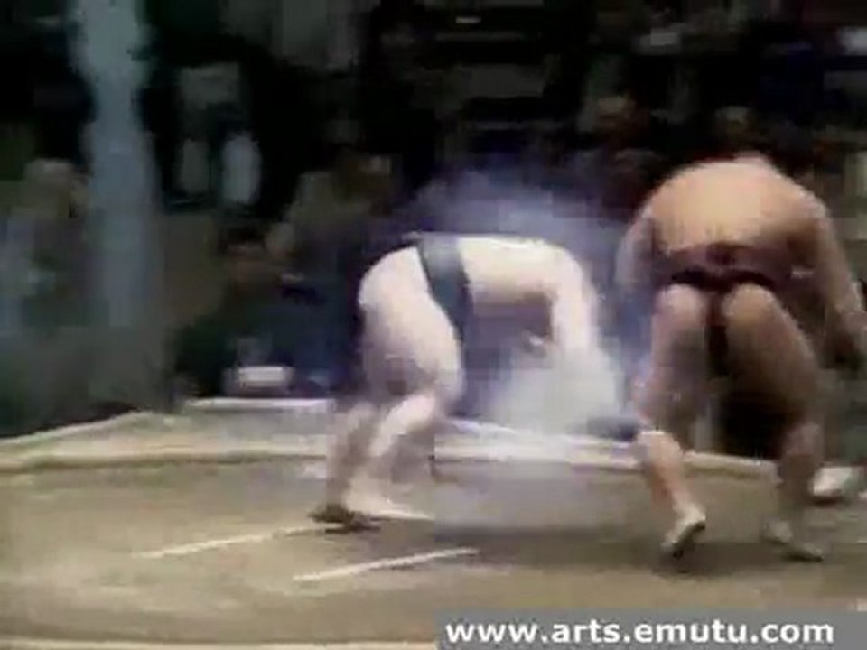 real sumo fighting