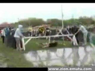 bad steeplechase