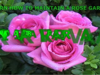 Grow Beautiful Fragrant Flowers