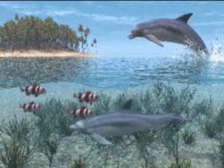 KLAPA MASLINA ludo more