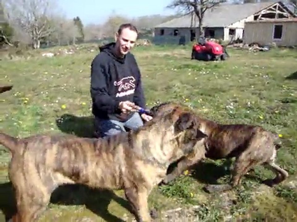 Arinez et Fophie