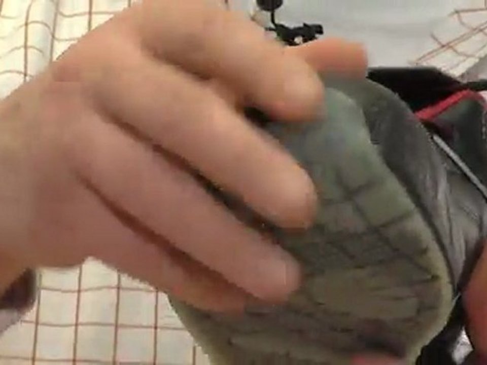 Sportlich, Elegant Cofra Sicherheitsschuhe Meazza