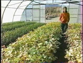 Reportage avec les pépinières ROBIN dans l'emission C'est pas sorcier
