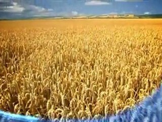 Temiz Enerji Lideri New Holland