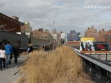 Kim Beck: Space Available / High Line Public Art Program, NYC / Interview with Kim Beck