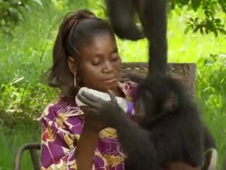 Bonobos / Bande Annonce