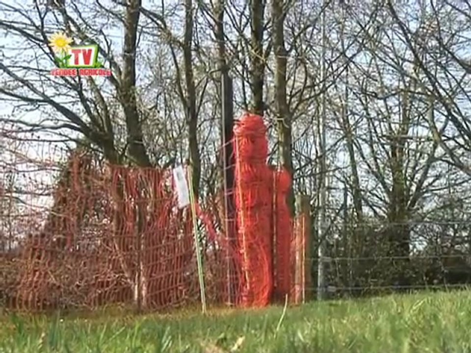 Journal Vendée Agricole TV // 25 mars 2011