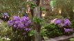 NewCa.com: 2011 Canada Blooms: Gardens Of Aden