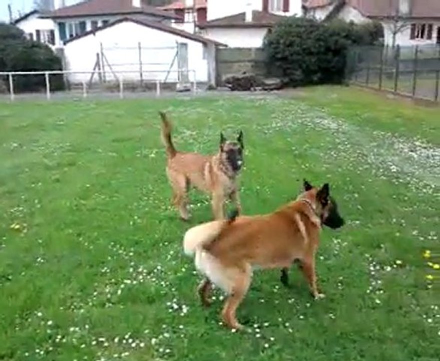 video-2011-03-24-11-14-41