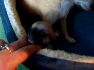 100_2702 15 jours bb ale