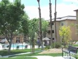 Sterling Sahara Apartments in Las Vegas, NV - ForRent.com