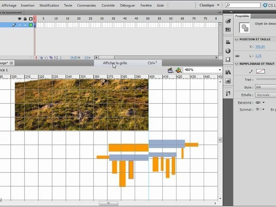 Flash CS5 : Options d'accrochage