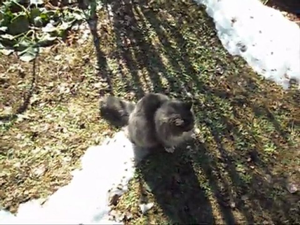 Film på Revis 25 Mars - 11. Med musik.