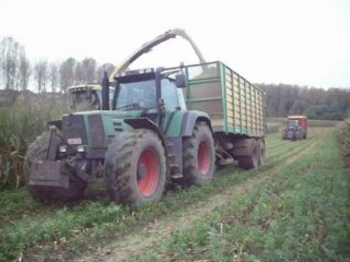 Maïs 2010 par Otten !