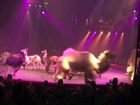 Poussières d'étoile le show ARLETTE GRUSS