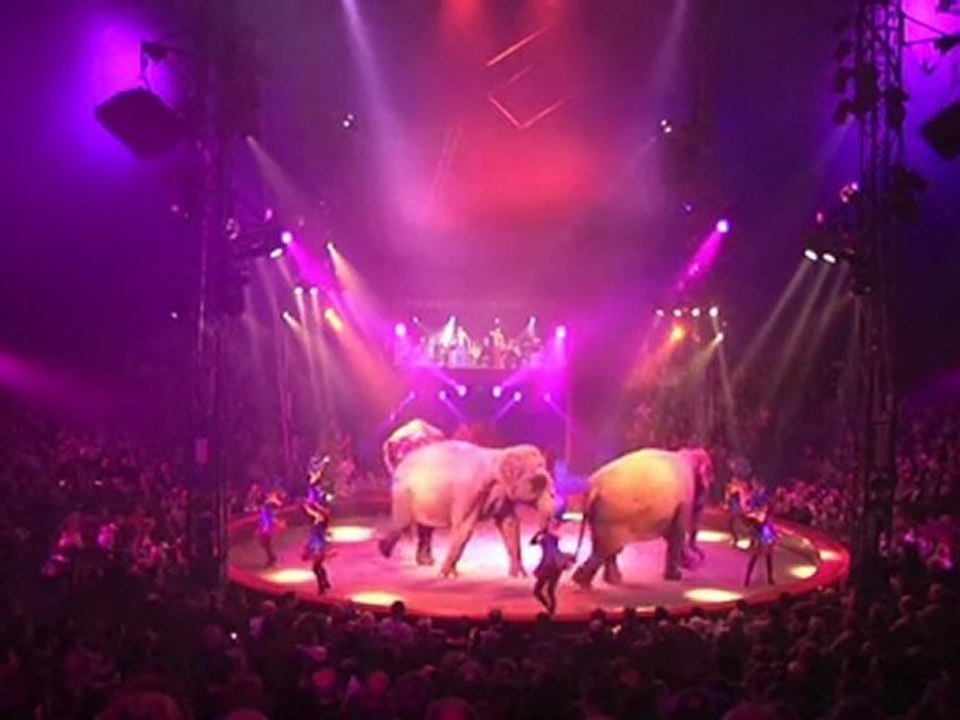 "Poussière d’étoile" Arlette Gruss 2011