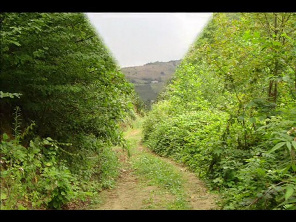 TRABZON AKÇAABAT AKÖREN KÖYÜ 2. VİDEO