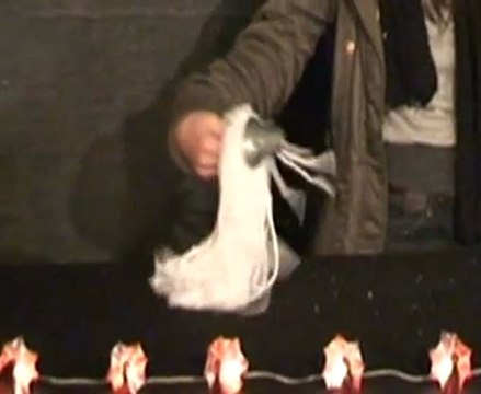 Cie WAVERLEY - le magicien d'Oz