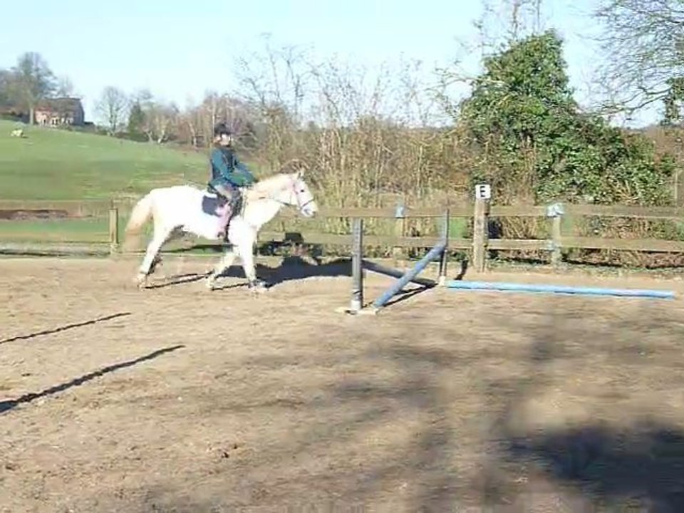 Parcours d'obstacle: Lau' sur Aramis (19/03/2011)