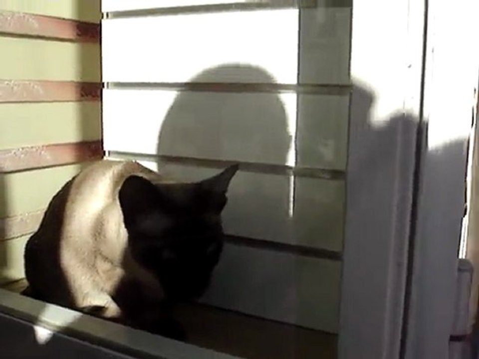 TIHI AU SOLEIL