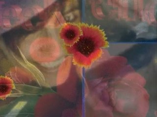 bon week -end avous tous