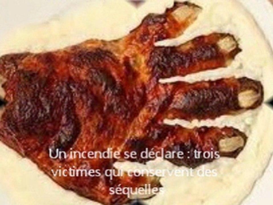 L'impact des éoliennes sur l'environnement