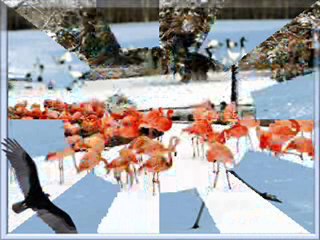 Les oiseaux en hiver - Helen
