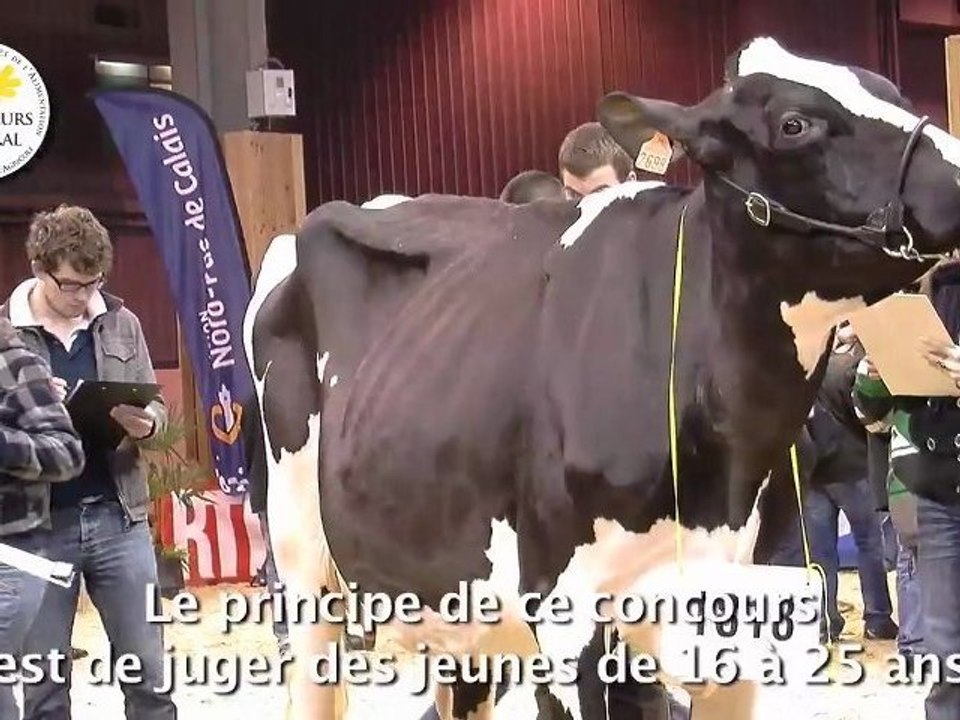 Le concours de jugement des animaux par les jeunes
