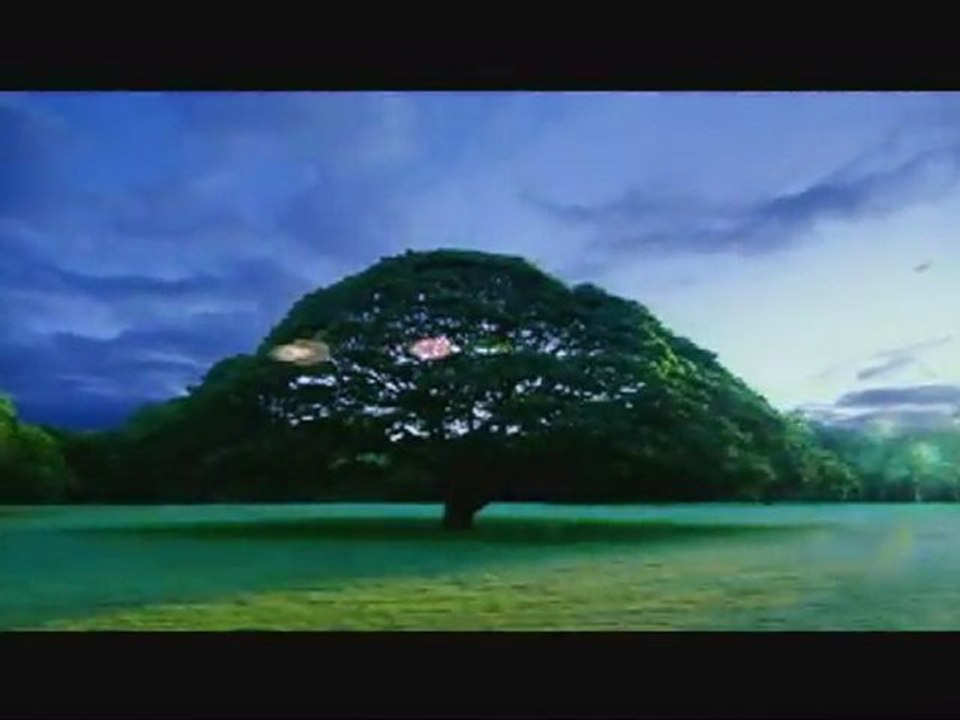 hitachi's tree