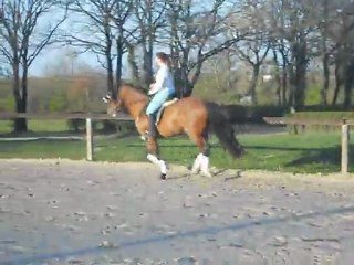 Don Amado 25/03 part 1