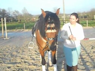 Don Amado 25/03 part 3