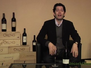 UncorkDeals.com - Dutton-Goldfield Pinot Noir 08'