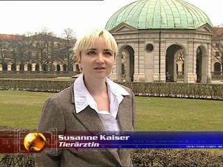 BARF für Hunde - www.barf-fuer-hunde.de