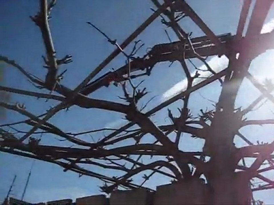 Beboparket houten vloeren, laminaat, parket, lamelparket, vloer, vloeren hout