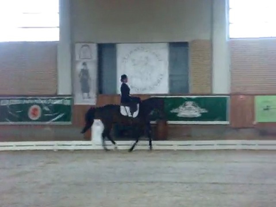 Galop en amazone