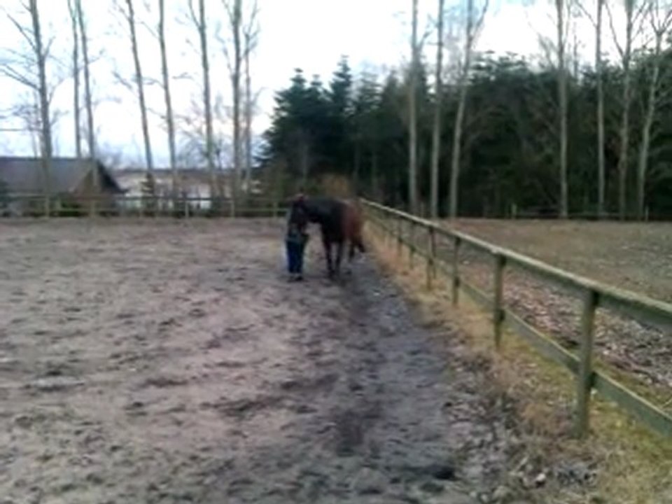 Pan2 d 16-3-11