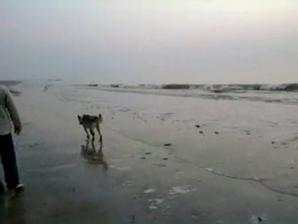 J'aime la mer