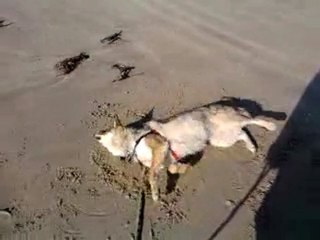 Je me roule dans le sable