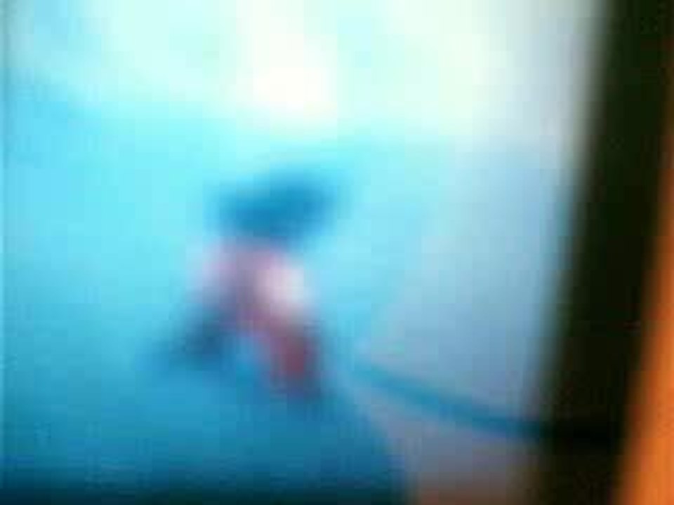 tenkaichi 2 goku gorille