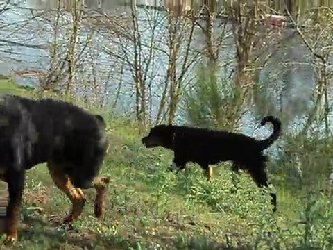 paco et felina 26 mars 2011 003