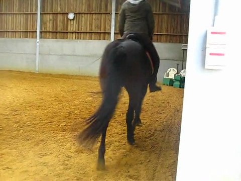 Ulys cours 26 mars trot