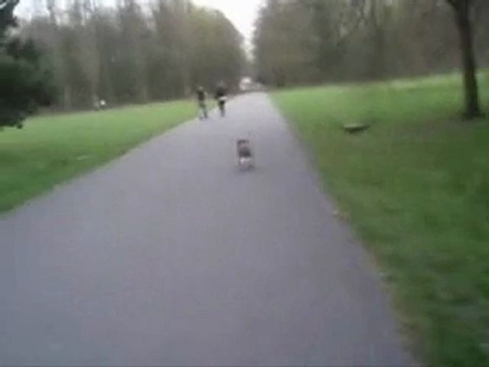 ballade à la Courneuve