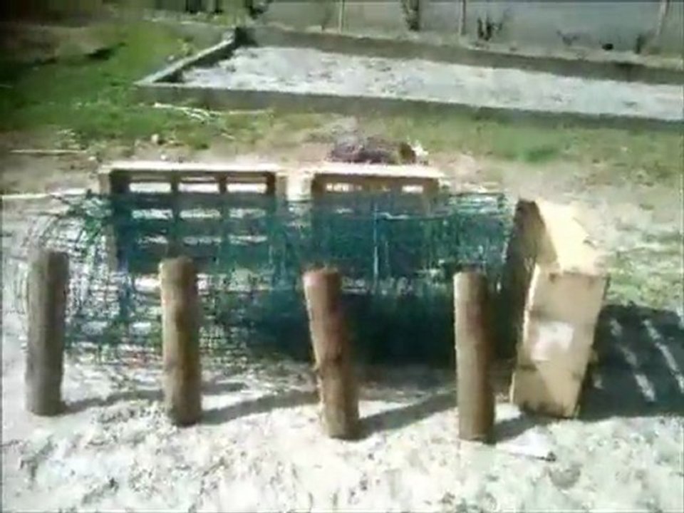 Agility saut d'obstacle