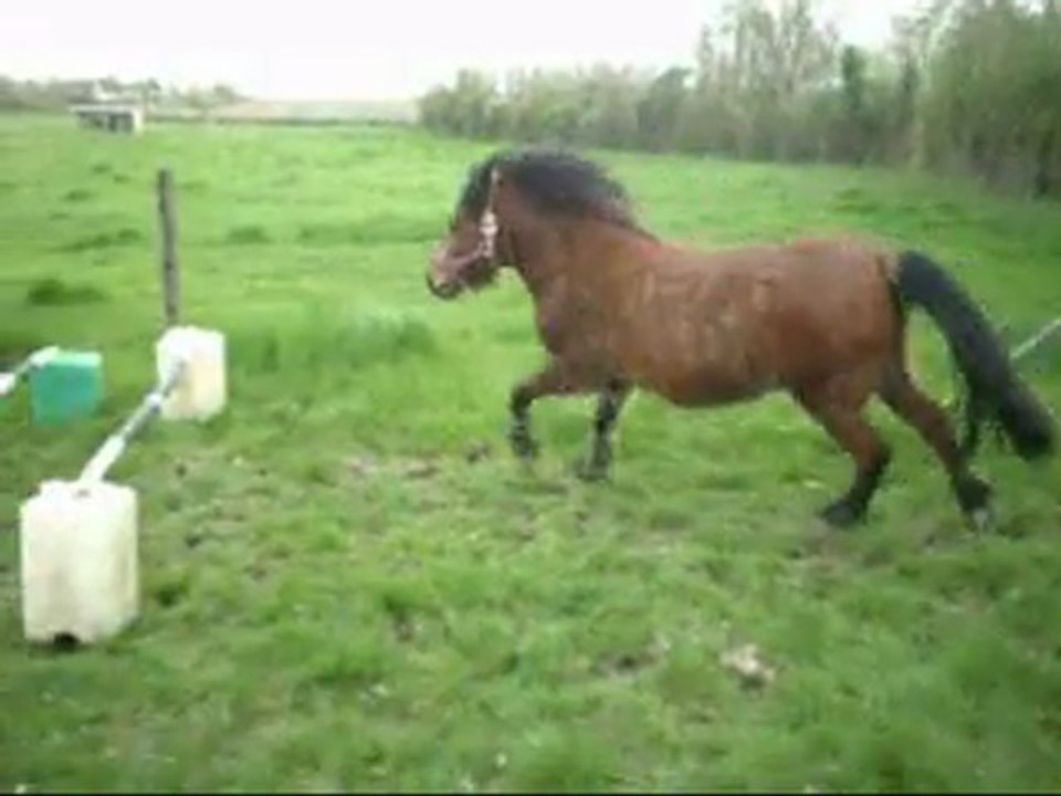 Tornado saute en liberté