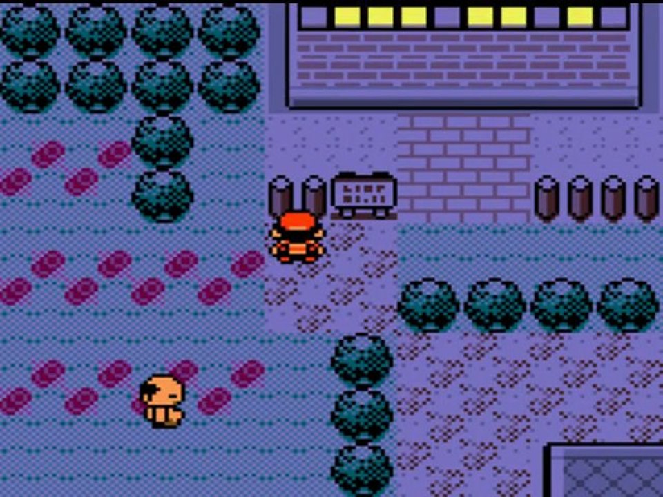 pokemon or 8.2" la championne de parmanie"