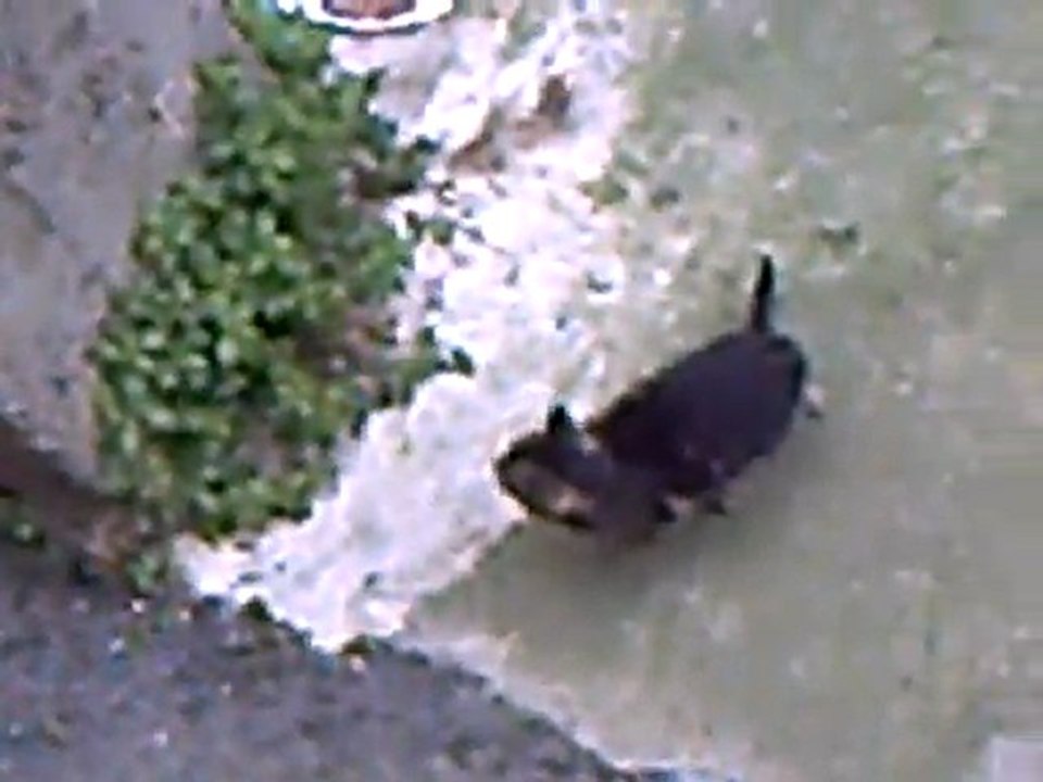 CLIP0017