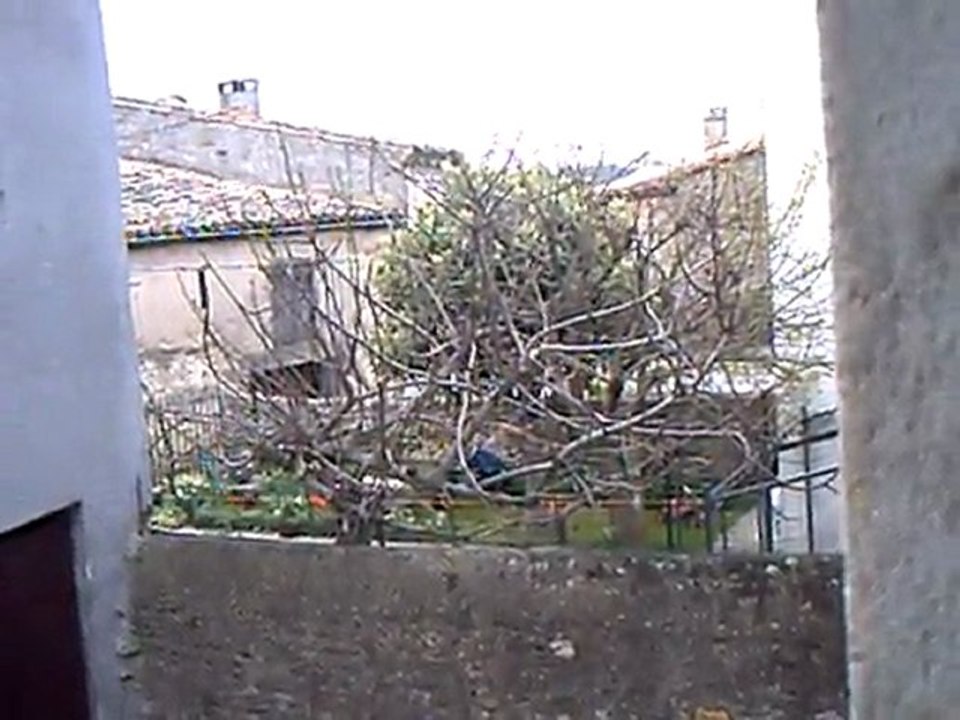 CLIP0016