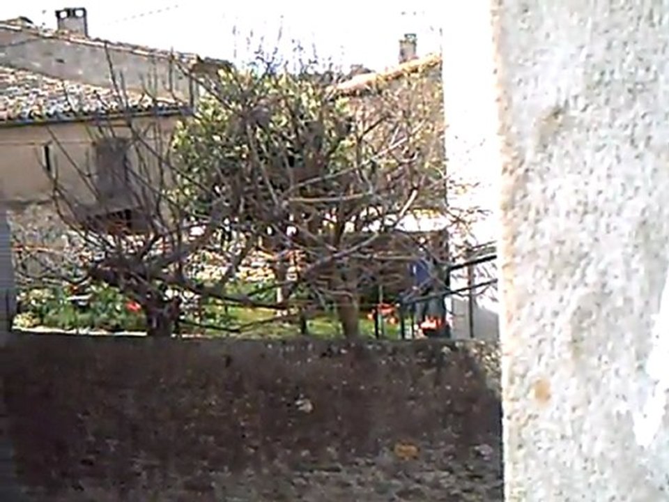 CLIP0015