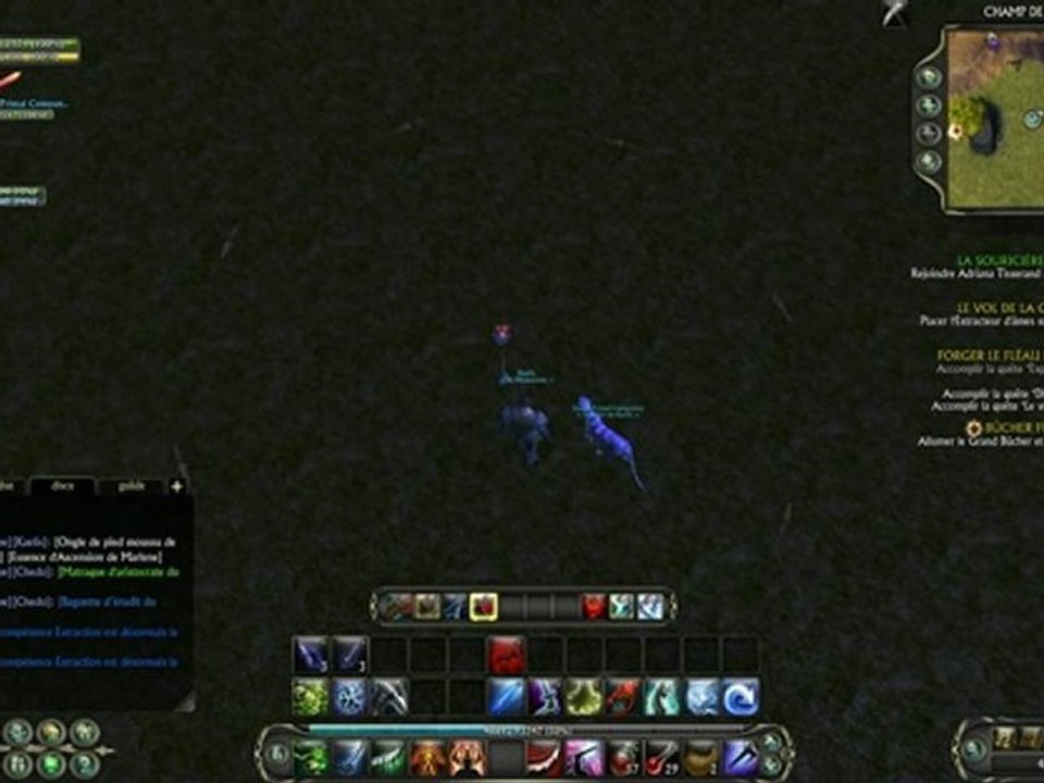 danse des écureuils